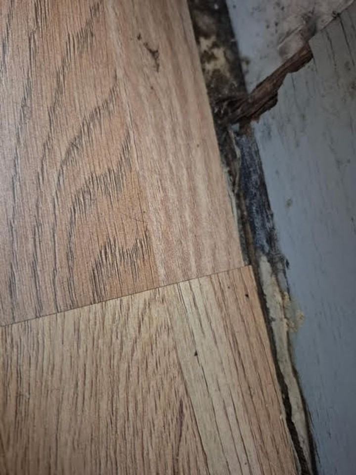 933 Highland Trails Ave - Photo 4 of 8