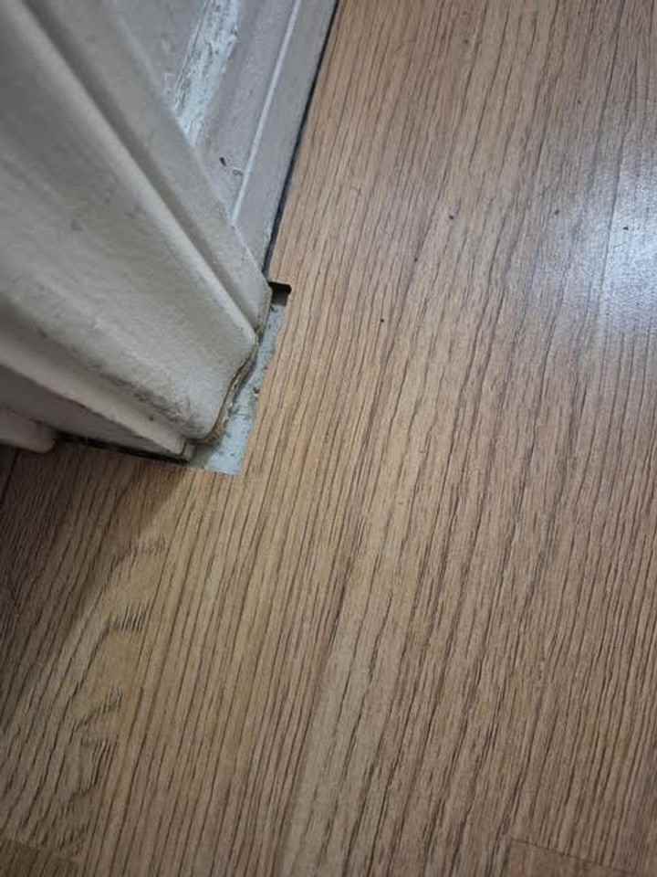 933 Highland Trails Ave - Photo 7 of 8