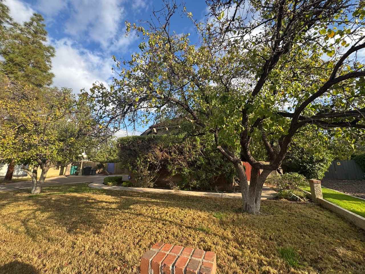 2060 E Lockwood St - Photo 3 of 36