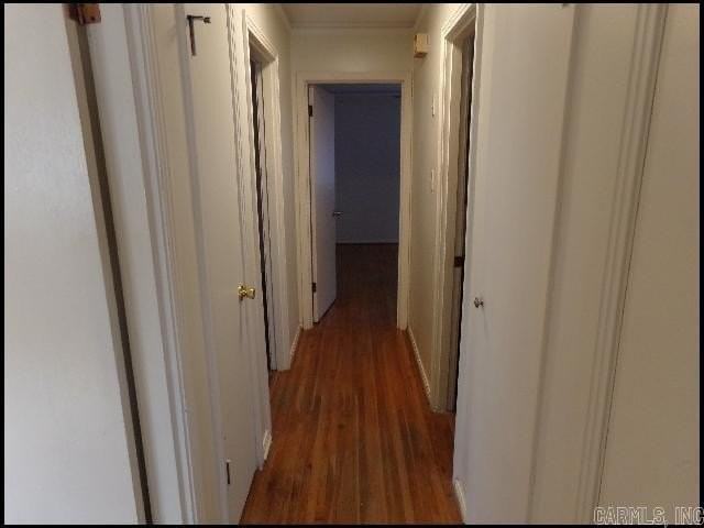 408 Pickwick Ln - Photo 6 of 16