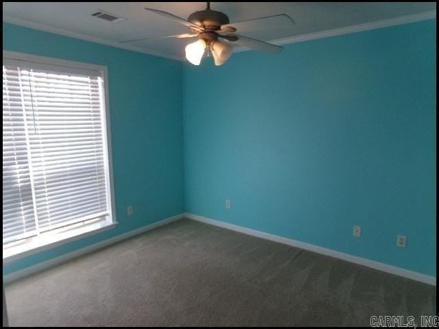 12 Lauren Cv - Photo 6 of 25