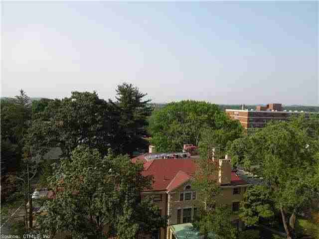 30 Woodland St #9P - Photo 7 of 15