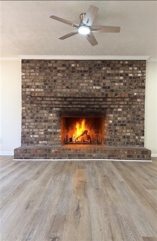 865 Cherrydale Ln - Photo 4 of 14