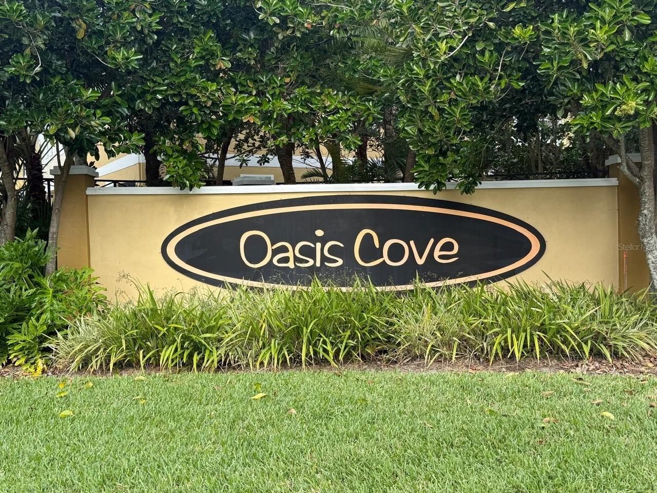 8205 Serenity Spring Dr #502 - Photo 2 of 40