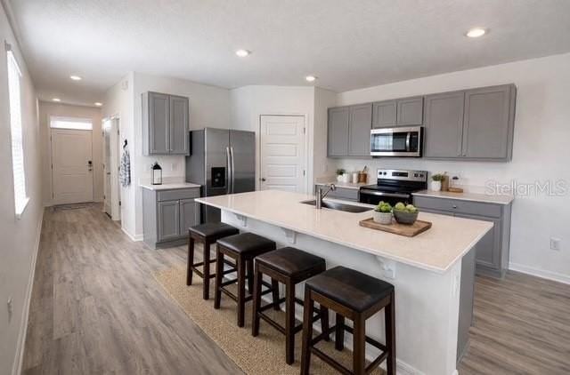 2986 Waterlily Way - Photo 3 of 17