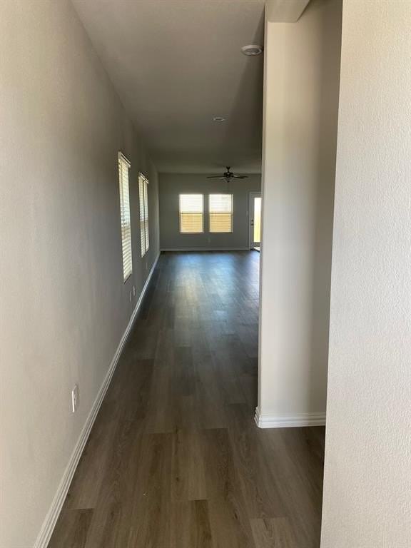 3220 Shortgrass Ln - Photo 3 of 17