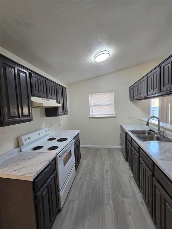 1451 Brook Meadow Cir - Photo 3 of 10