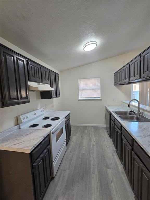 1451 Brook Meadow Cir - Photo 4 of 10