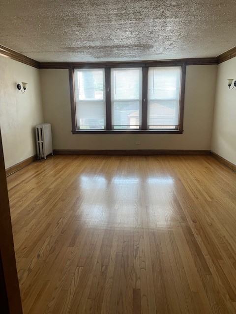 1340 W 91st St #2E - Photo 4 of 10