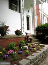 1616 Preston Rd Unit 1616 #1616 - Photo 1 of 1