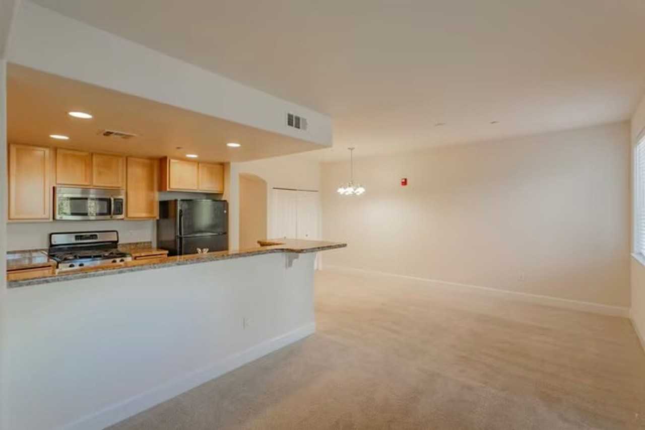 The Phoenician Collection - Photo 5 of 35