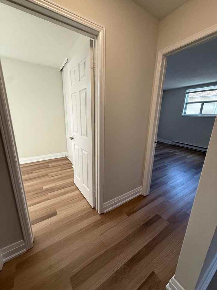 59 Campbell Court - Photo 7 of 27