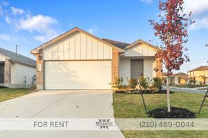 featured image of Patch Rd