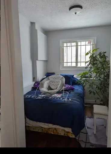 327 Edelweiss Cres - Photo 4 of 10