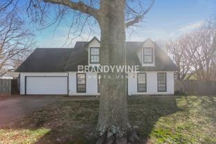 7215 Grapevine Cv - Photo 1 of 1