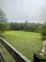 featured image of 3324 Yellow Sulphur Rd