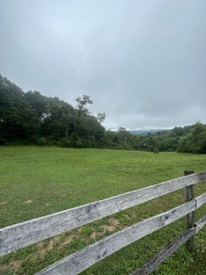 Yellow Sulphur Properties - Photo 2 of 42