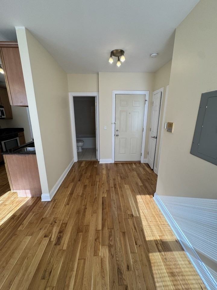 4566 W George St Apt 1 #1 - Photo 7 of 10