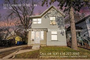 313 Carrier St Ne #4 - Photo 1 of 1