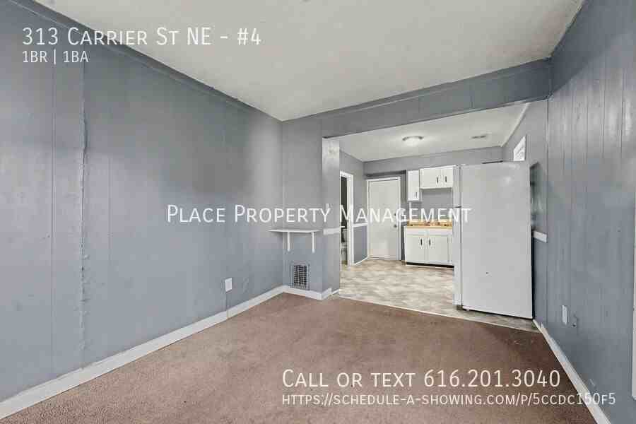 313 Carrier St Ne #4 - Photo 6 of 16
