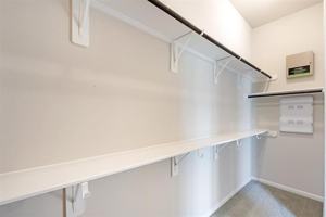 featured image of 1435 Cecilia Vines Dr #1435