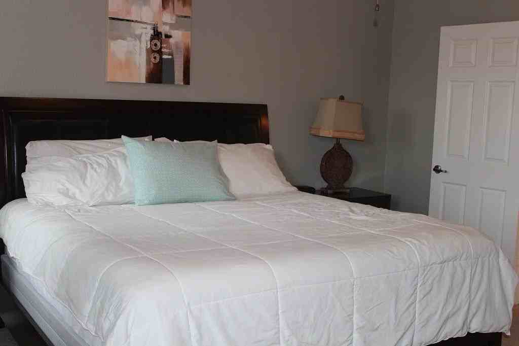 111 S Rocky Point Cir #111 - Photo 3 of 19