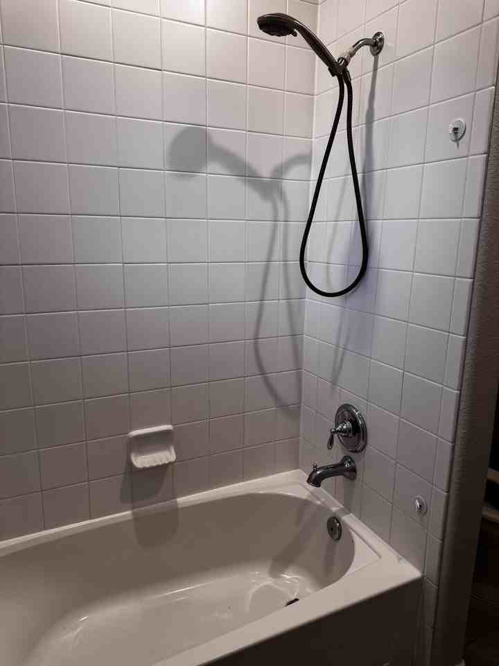 3318 Rainflower Springs Ln - Photo 6 of 10