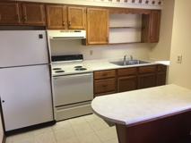 Cozy 1 Bedroom, 1 Bathroom Garden - Photo 1 of 1