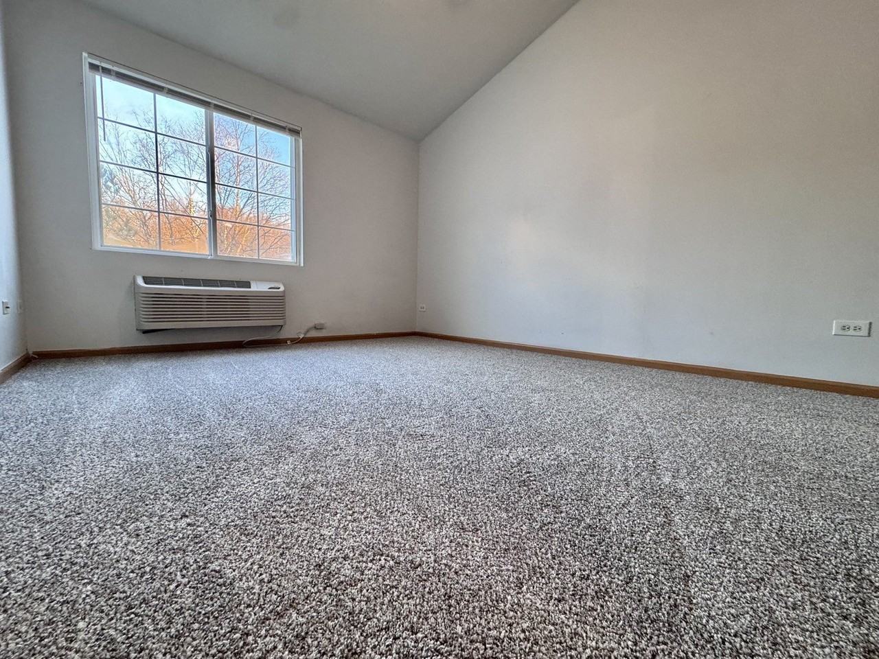 2427 Silverstone Dr Unit 2427 #2427 - Photo 3 of 15