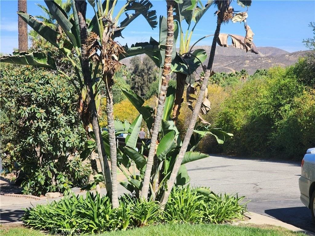 7891 Minnesota Rd - Photo 4 of 5