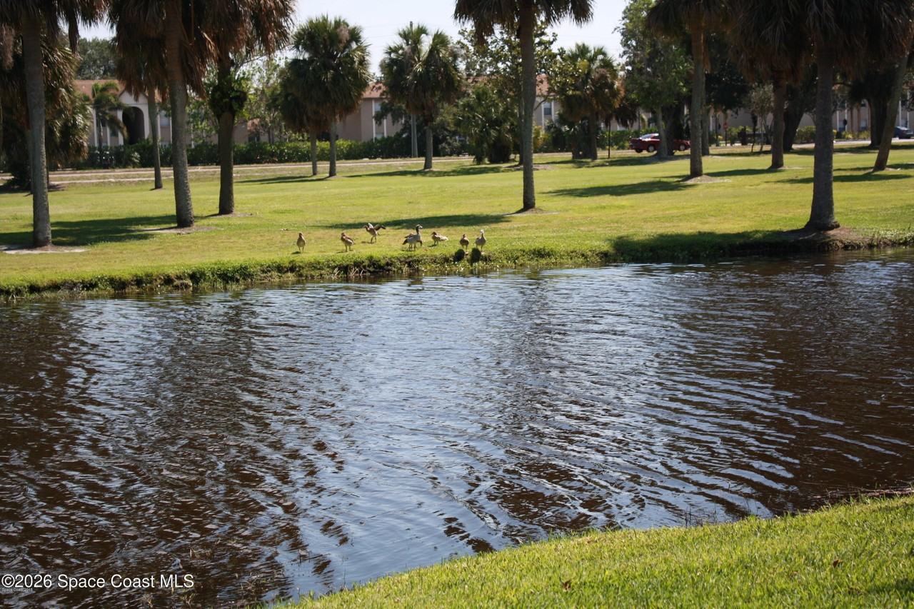 2145 Golf Isle Dr Apt 1221 #1221 - Photo 7 of 20