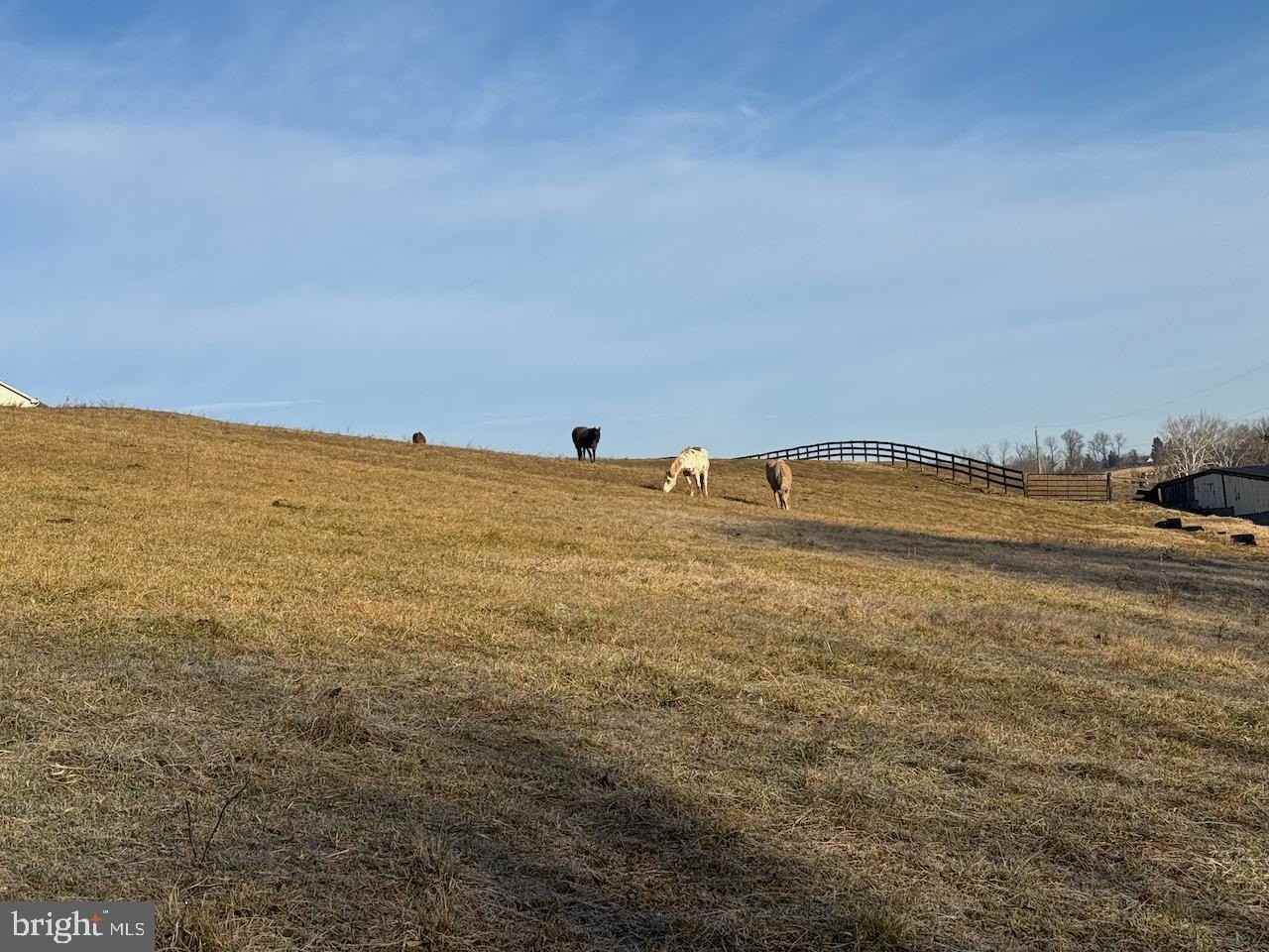 18390 Silcott Springs Rd - Photo 2 of 12