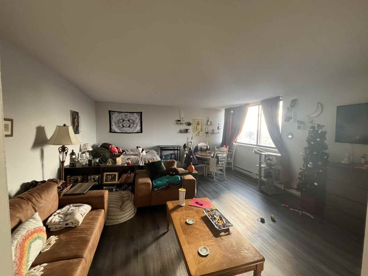 2074 Robie St - Photo 5 of 8