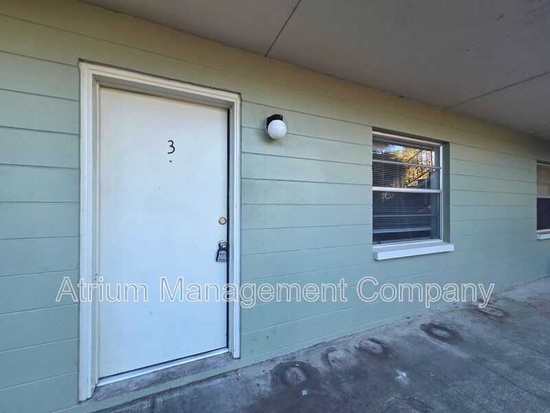 1105 E Orange St #3 - Photo 3 of 18