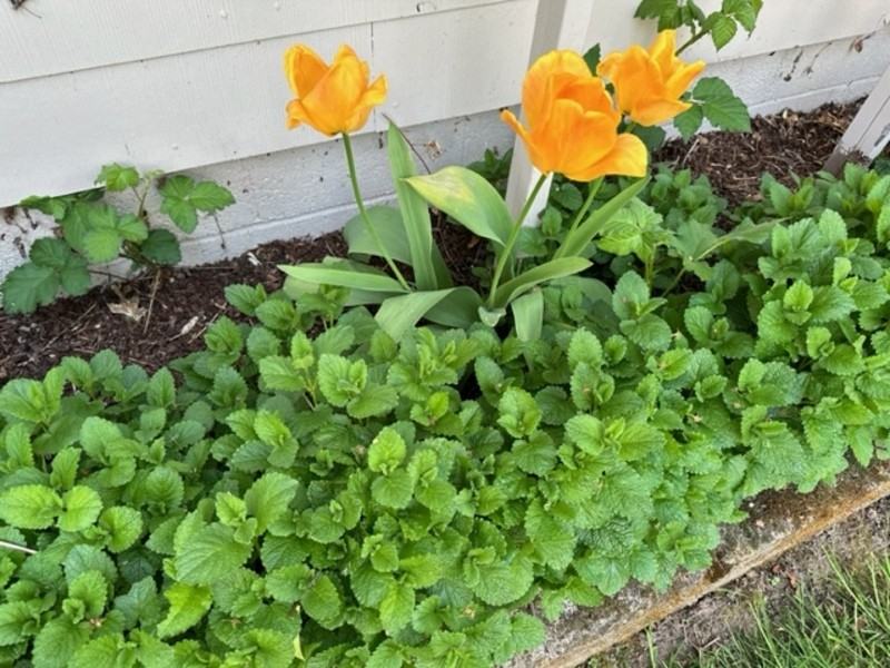 926 Sw Greenwood Ave - Photo 6 of 26