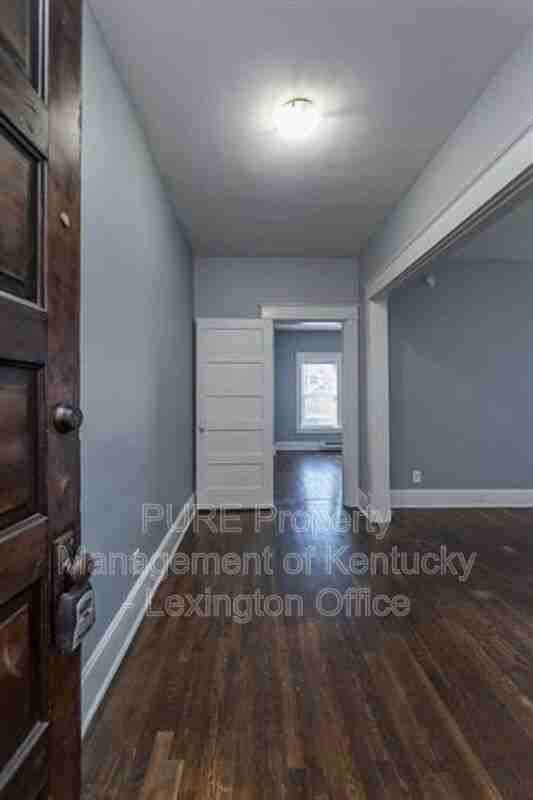 262 Kalmia Ave #11 - Photo 3 of 16