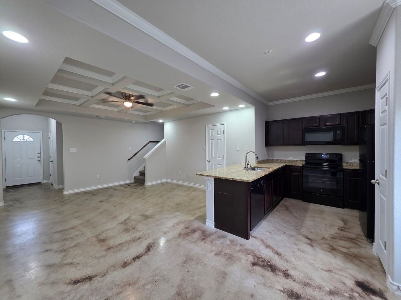 16909 16909 Dancing Ava - 2 #2 - Photo 4 of 24