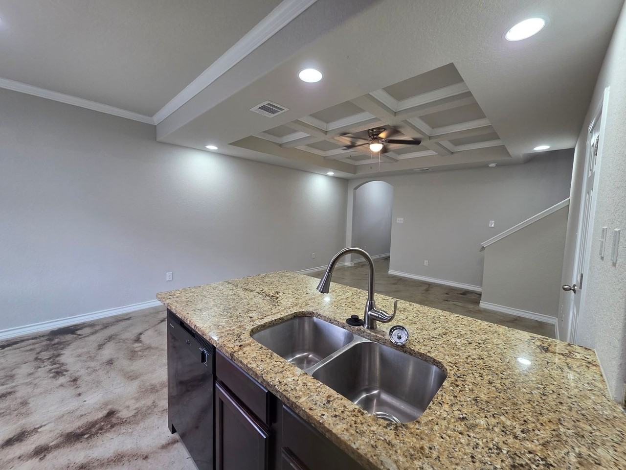 16909 16909 Dancing Ava - 2 #2 - Photo 5 of 24