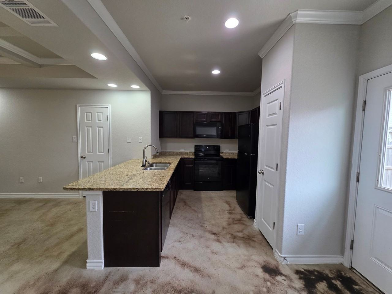 16909 16909 Dancing Ava - 2 #2 - Photo 6 of 24