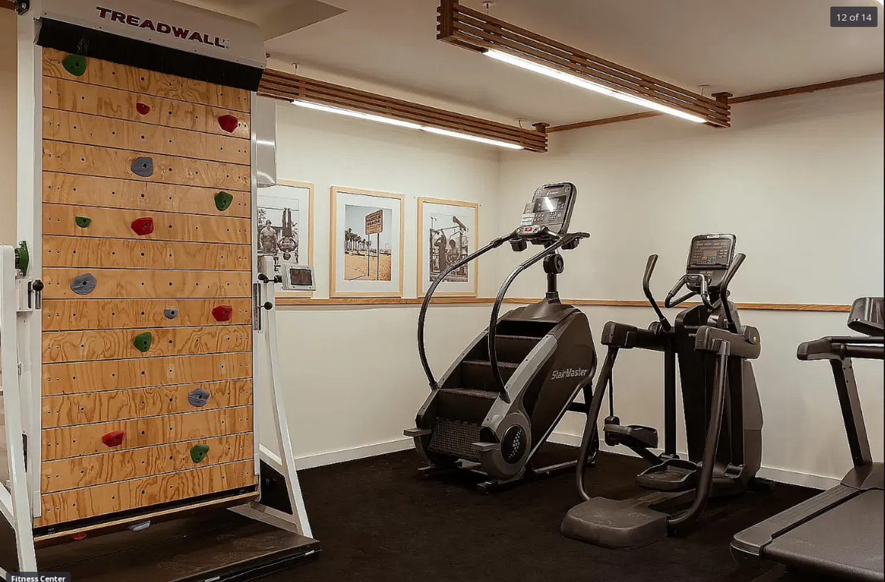 The Rally - Photo 5 of 39