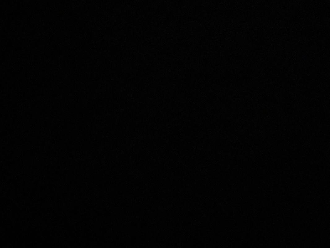 1414 C St Ne - Photo 4 of 6