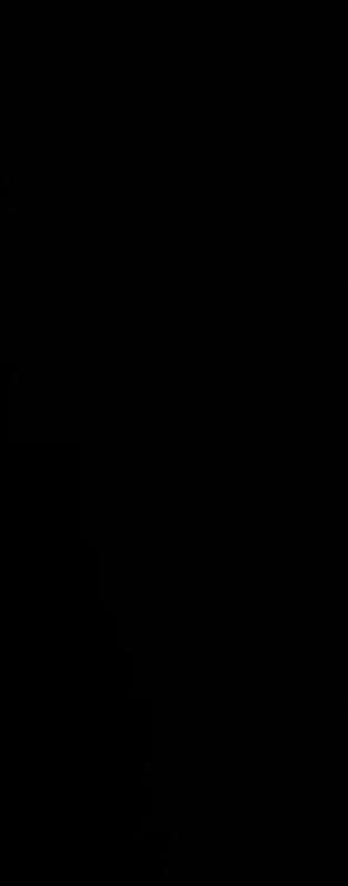 1414 C St Ne - Photo 5 of 6