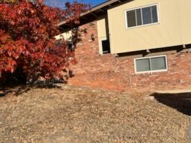 2203 Collier Ave #NA - Photo 1 of 1