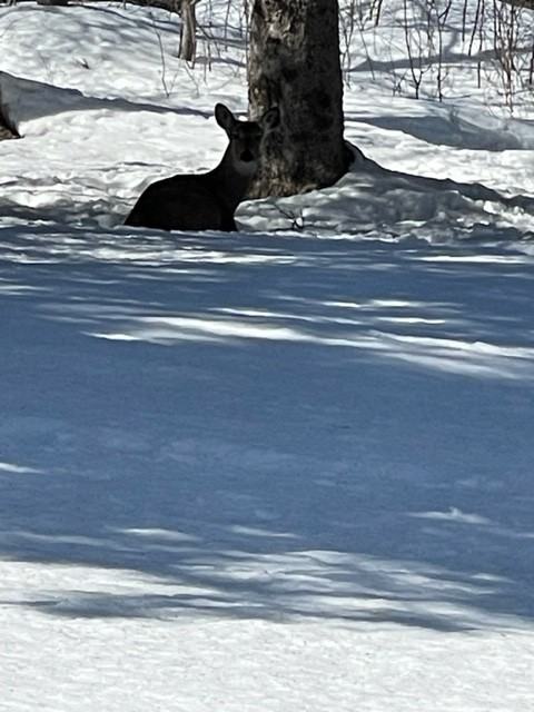 5005 Glenwood St #NA - Photo 2 of 15