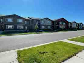 350 Water Lily - 16 #16 - Photo 1 of 1