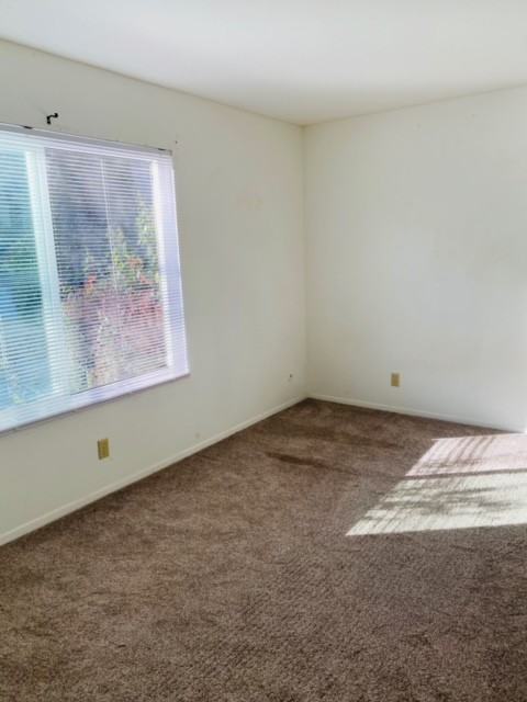 828 Olive St #1 - Photo 4 of 9