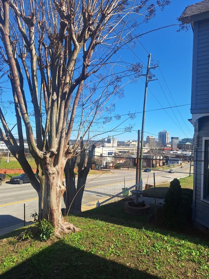 541 Clay St - Photo 2 of 6