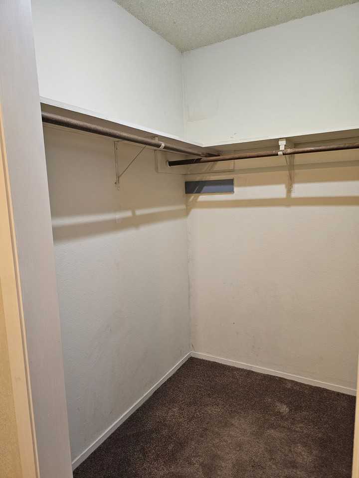 917 Rambler Drive - Photo 5 of 18