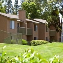 25092 Farthing St - Photo 1 of 1