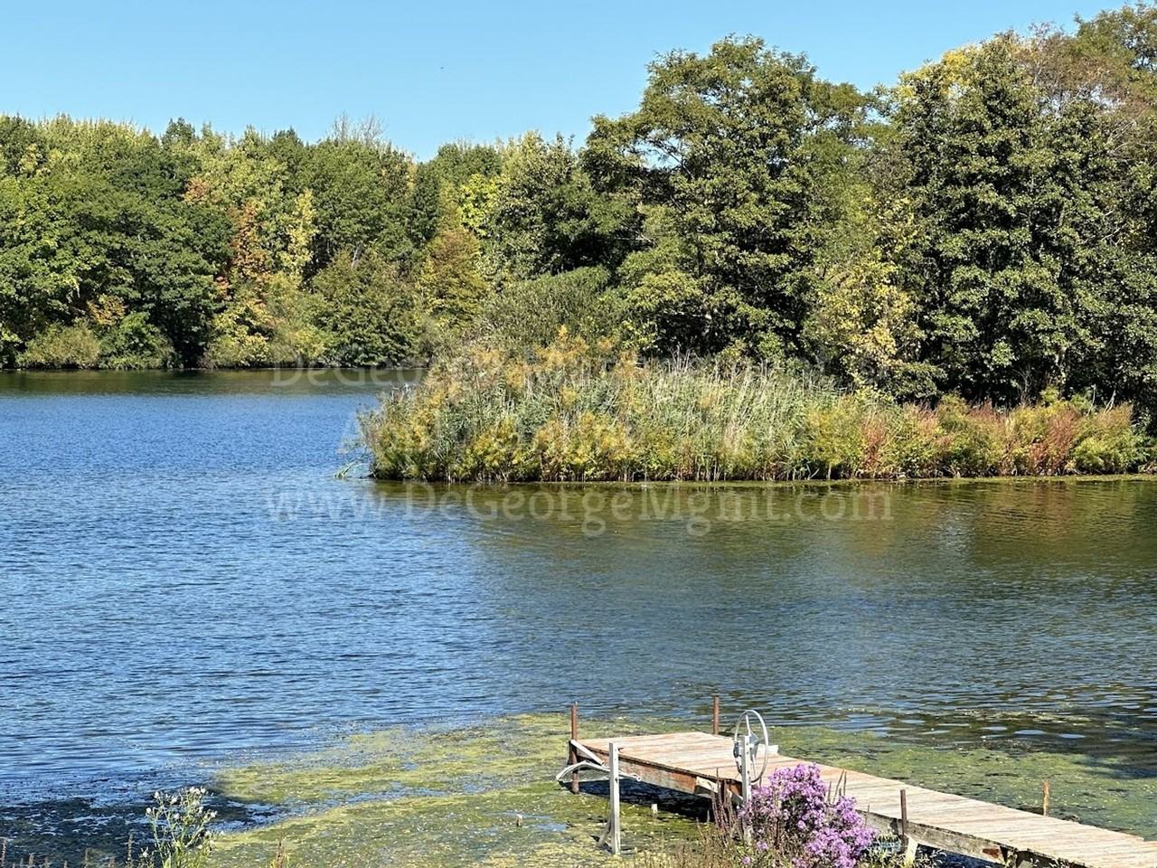 Lake Country Gardens - Photo 2 of 8